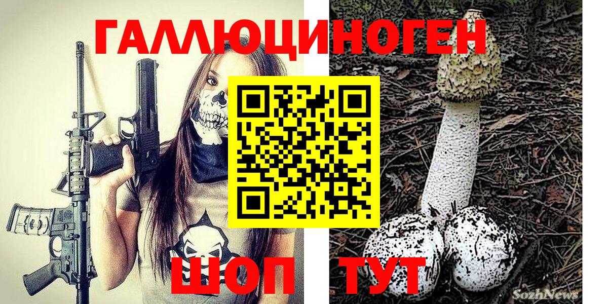 Альметьевск  Псилоцибиновые грибы GOLDEN TEACHER  наркота  Вход с VPN 