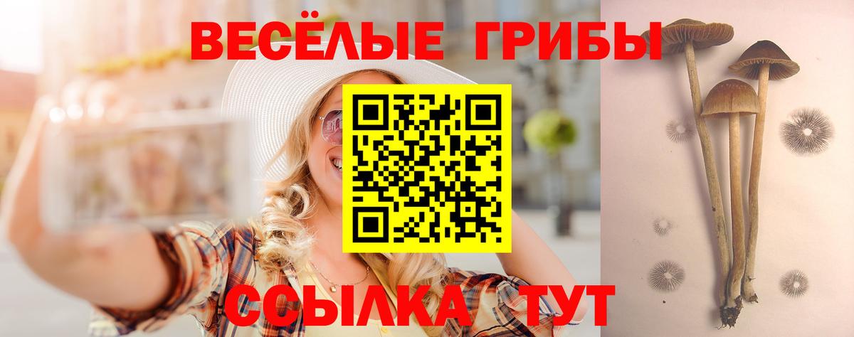 Псилоцибиновые грибы Psilocybe Альметьевск